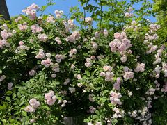 -南山风景名胜区