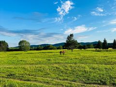 -北极村旅游风景区