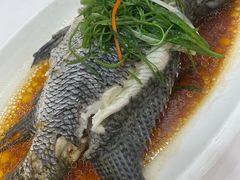 -金华安大酒楼·老牌潮菜·粤式茶点(东方国际店)