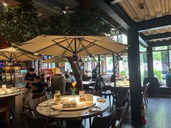 -三强鸽子(中原路店)