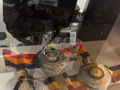 -花环泰拳·勒德斯拉泰拳馆(静安店)