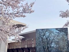 -龙美术馆(西岸馆)