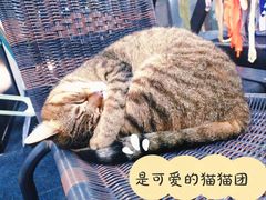-FIGHTMAN格斗俱乐部(长宁临空店)
