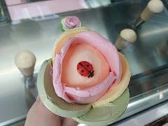 玫瑰花冰激凌-马拉桑果汁(龙头路总店)