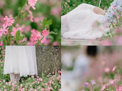 -花开海上生态园