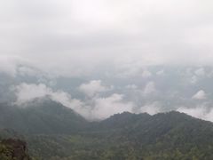 -江西阳明山国家森林公园