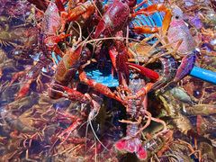 -聚盛源蒸汽海鲜火锅烤肉自助(巨川金海岸购物广场店)