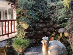 -深圳仙湖植物园