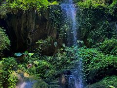 -莫里热带雨林景区