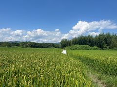 -良渚古城遗址公园