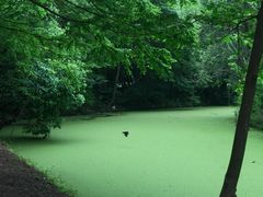 -广富林郊野公园