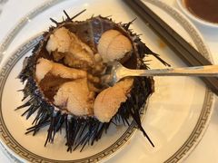 -渔公码头·九龙湾国际饭店