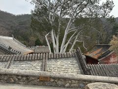 -潭柘寺景区