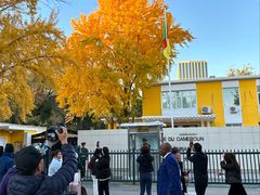 -三里屯东五街银杏大道