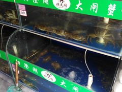 -阳澄湖大闸蟹·琼灵阁牌品牌连锁(吴中总店)