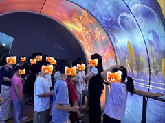 -房山世界地质公园博物馆