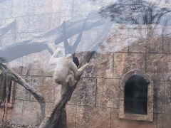 -南昌动物园
