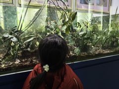 -上海昆虫博物馆