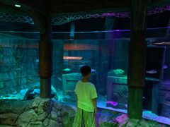 -沈阳海洋探索中心