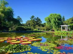 -国家植物园南园