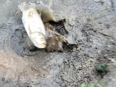 -盐官日光域房车营地·有盐餐厅