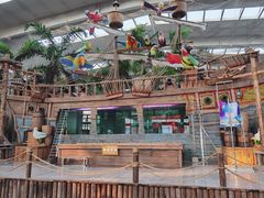 -南宫五洲植物乐园