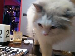 -暗楼·剧本杀·桌游