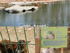 -大青山野生动物园
