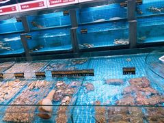 水产区-梦都海鲜酒家(万达广场江桥店)