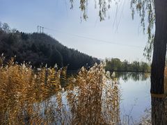 -静之湖度假区