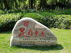 -重庆彩云湖湿地公园