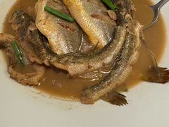 家烧胶东杂鱼-KŌNG胶东小馆·酒馆(华熙店)