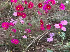 -济南国际园博园