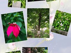 -广州神农草堂中医药博物馆