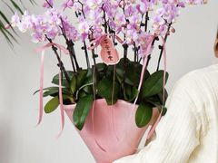 -F.Story 花和故事(新天地店)