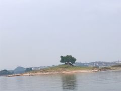 -重庆长寿碧桂园凤悦凤凰酒店