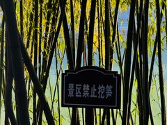 -包公祠