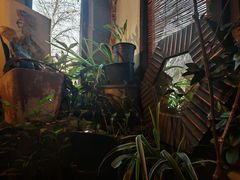 -斯多格书乡(北京大学畅春园店)