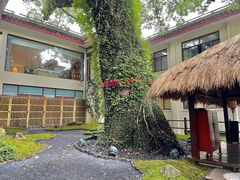 -普陀山雷迪森庄园