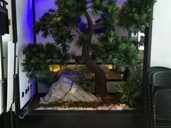 -绿茶餐厅(成都大悦城店)