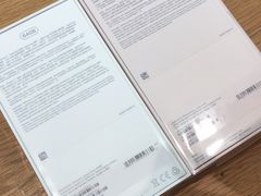 -Apple 零售店(Canton Road)