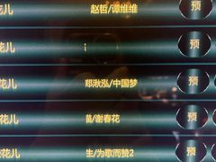 -V-SHOW主题KTV(新城店)