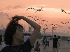 -东港音乐喷泉广场