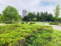 -上海市第一人民医院(松江南部)