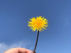 -硗碛藏寨·神木垒景区