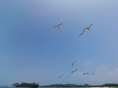 -海驴岛(荣成市)