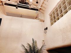 -Sirena海妖日咖夜酒