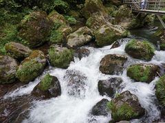 -龙苍沟森林公园