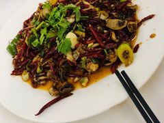 干煸八带-田记餐馆(富国街店)