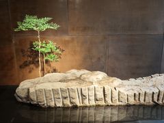 -ZEN采蝶轩·粤味臻鲜·手作点心·商务宴请(泰州店)